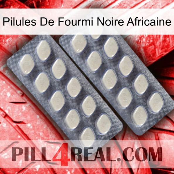 African Black Ant Pills 07.jpg